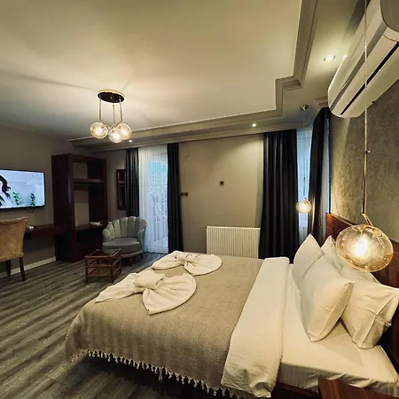 Hotel Istanbul Airport Treekos