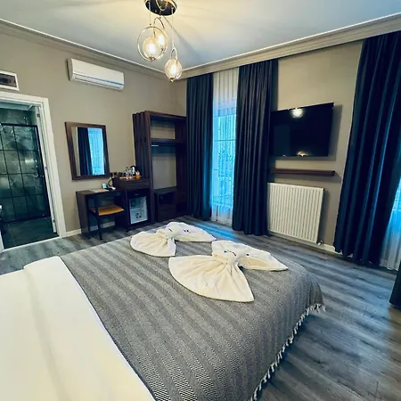 Istanbul Airport Treekos Hotel