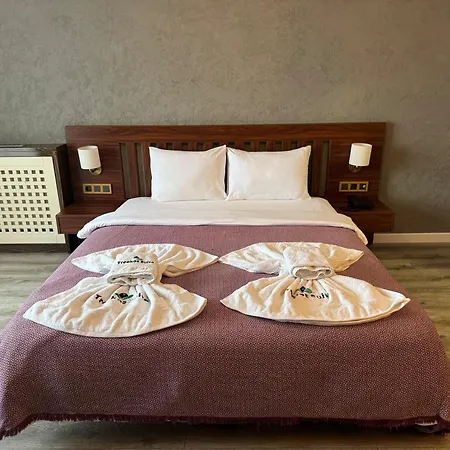 Istanbul Airport Treekos Hotel
