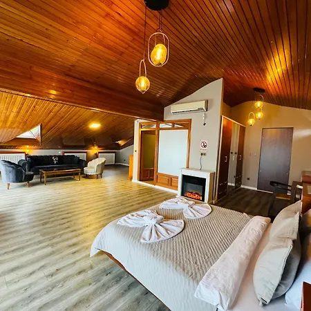 Istanbul Airport Treekos Hotel