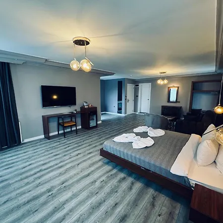 Istanbul Airport Treekos Hotel *