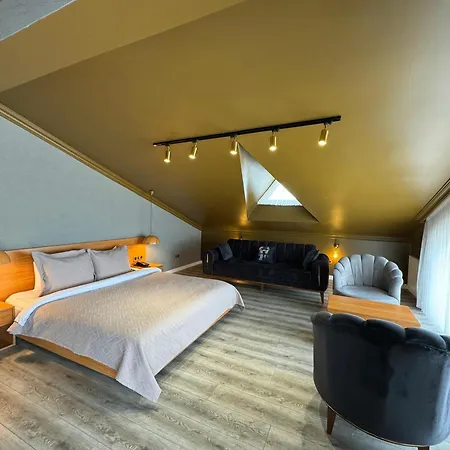 Hotel Istanbul Airport Treekos *