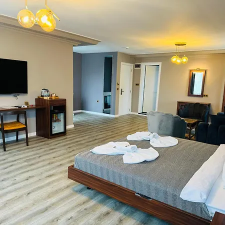 Istanbul Airport Treekos Hotel