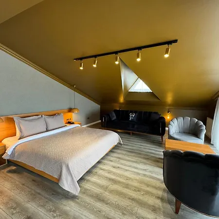 Hotel Istanbul Airport Treekos *