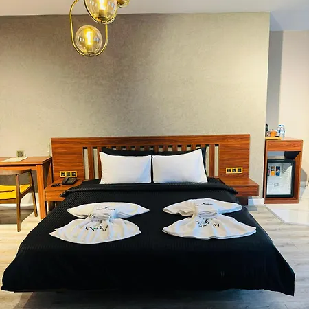 Hotel Istanbul Airport Treekos Karaburun (Arnavutkoy)
