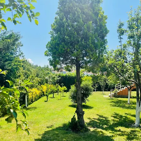 Hotel Istanbul Airport Treekos *