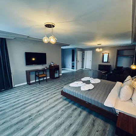 Istanbul Airport Treekos Hotel *